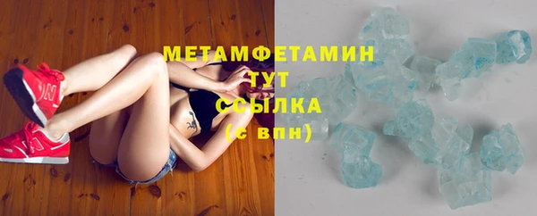 прущие грибы Баксан