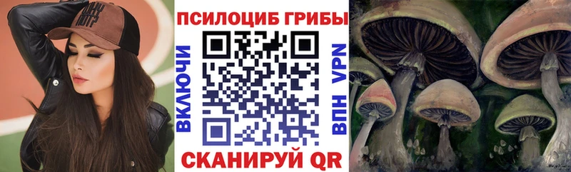 Галлюциногенные грибы GOLDEN TEACHER МЕГА ссылки Зуевка дарнет шоп